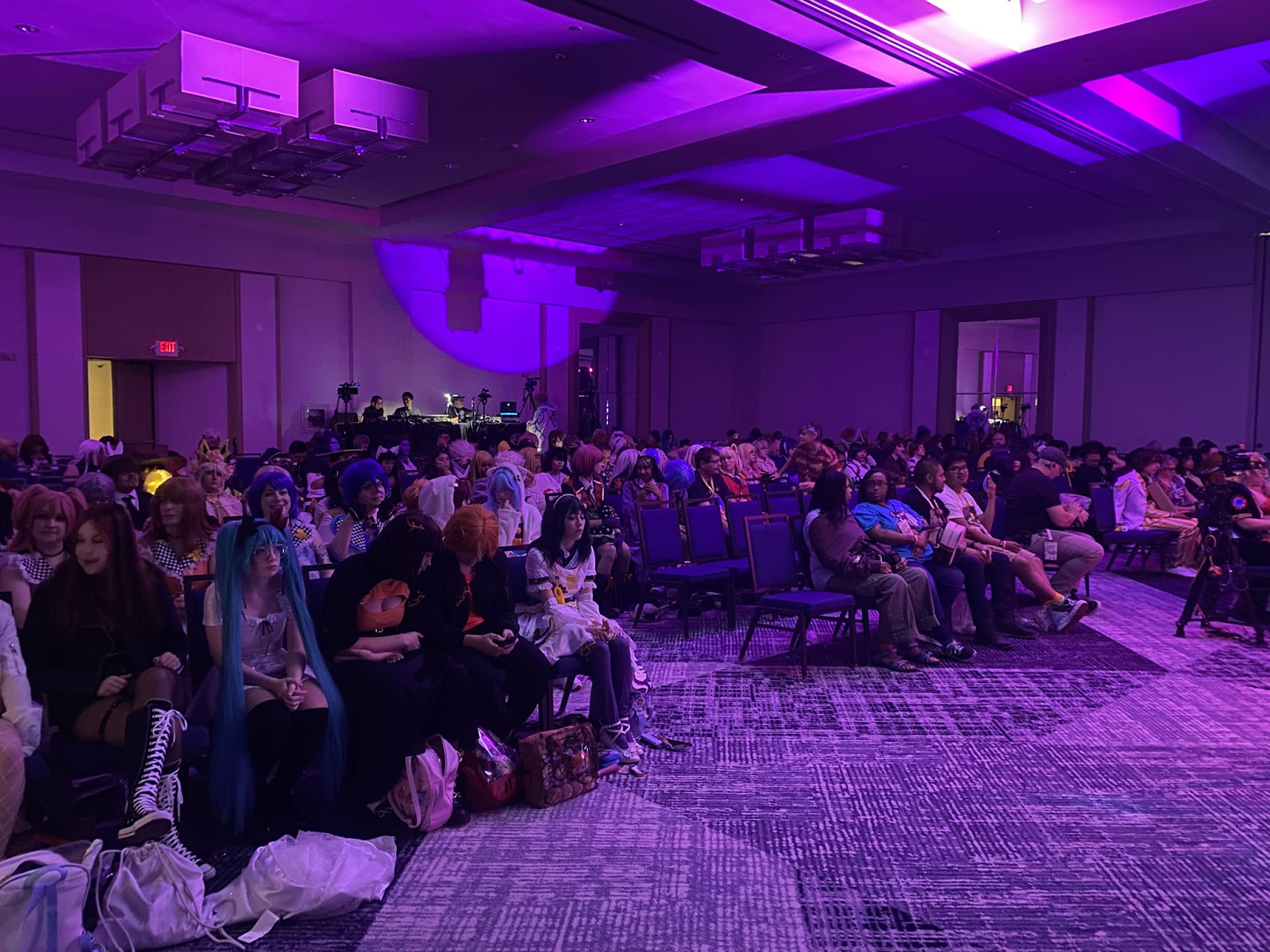 Masquerade Crowd from a Previous Year